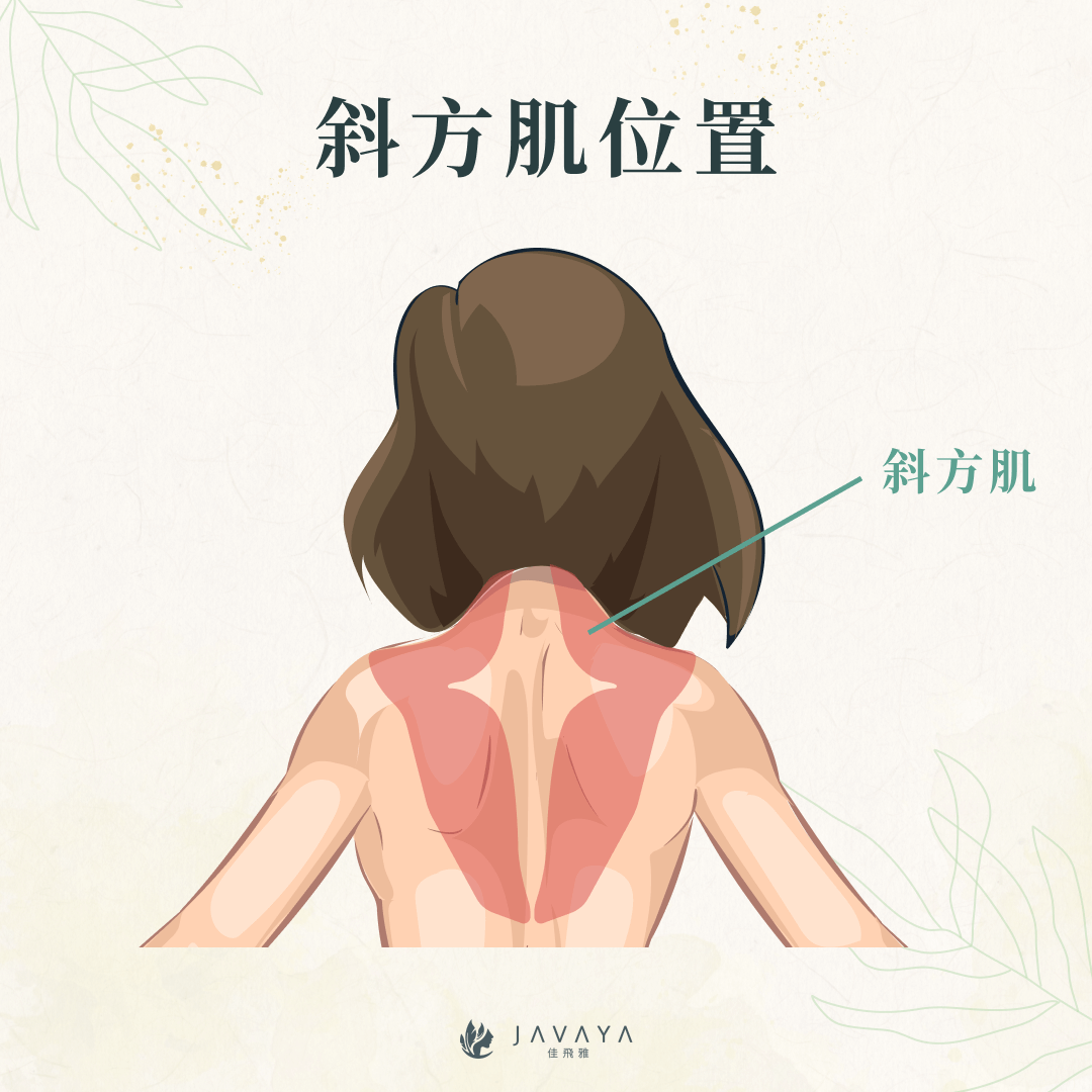 天鵝頸是什麼