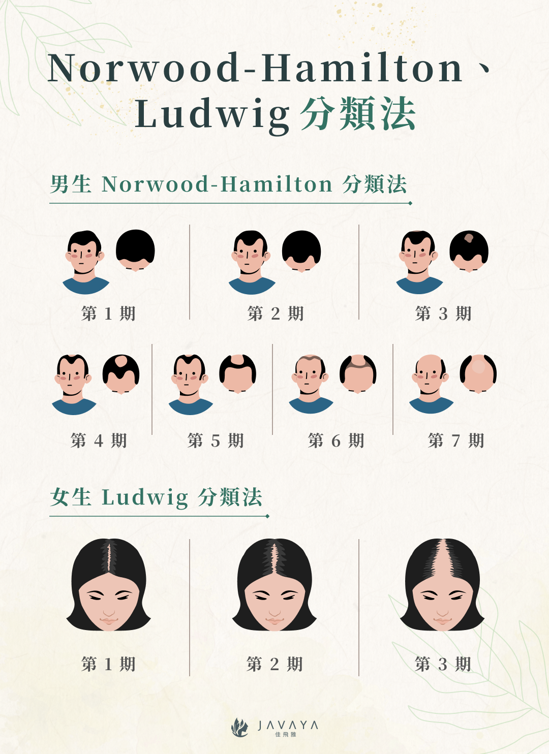 Norwood-Hamilton 、Ludwig 分類法