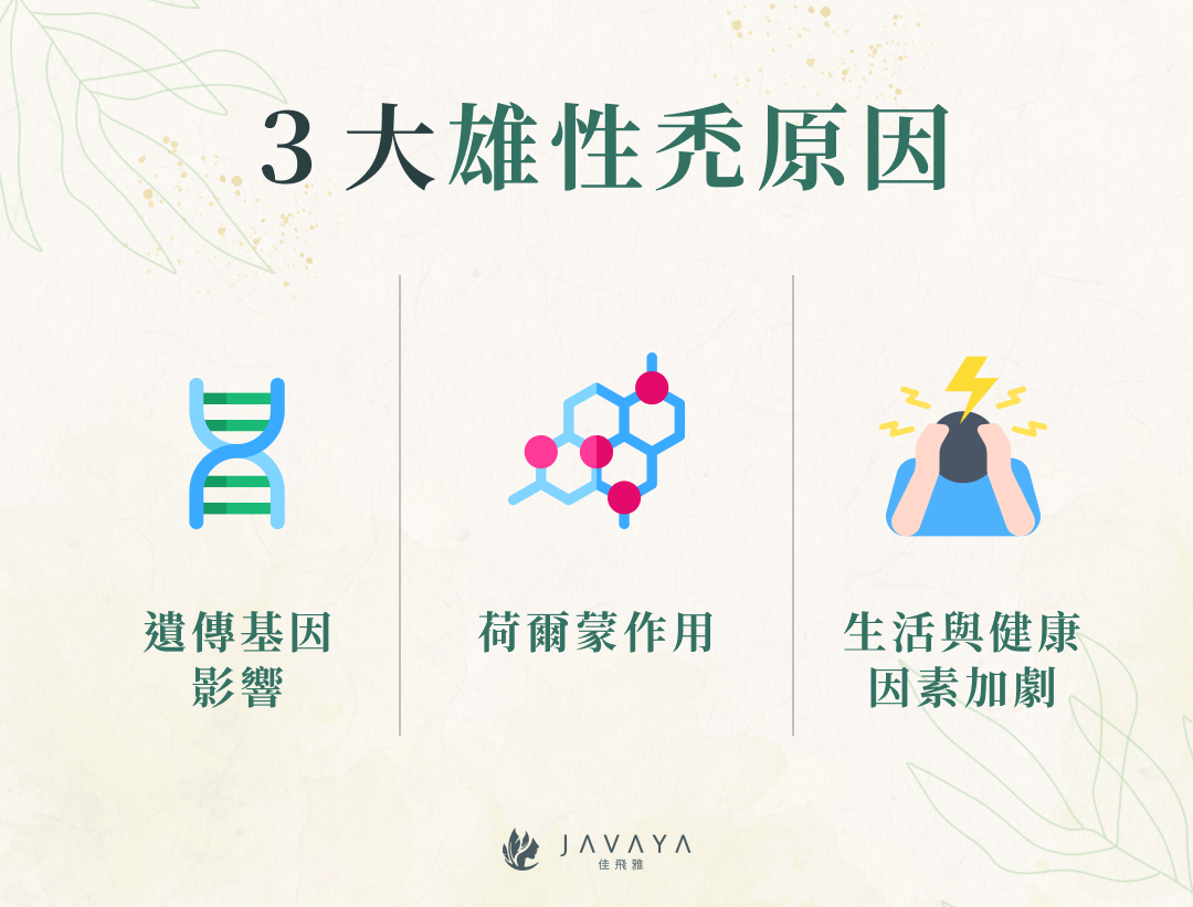 3 大雄性禿原因