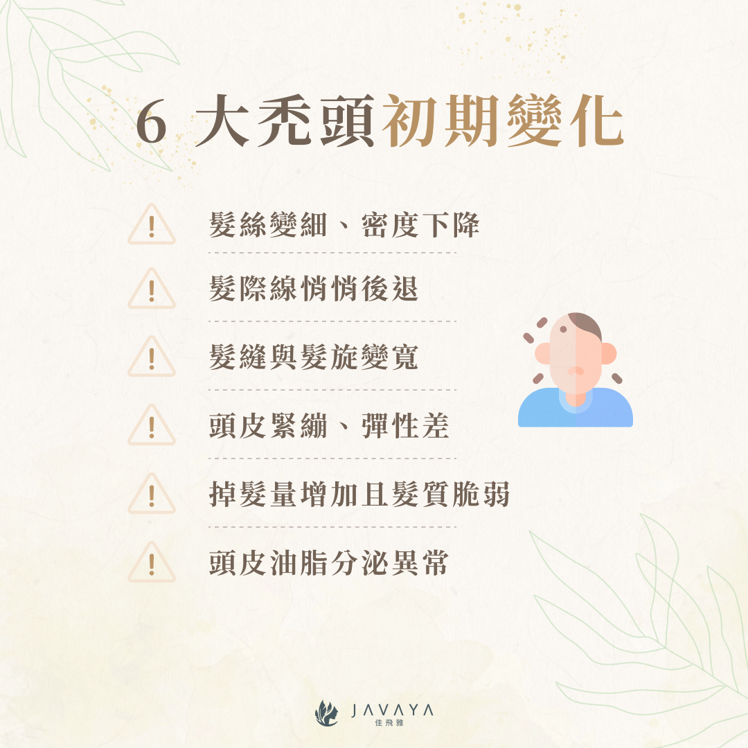 6 大禿頭初期變化