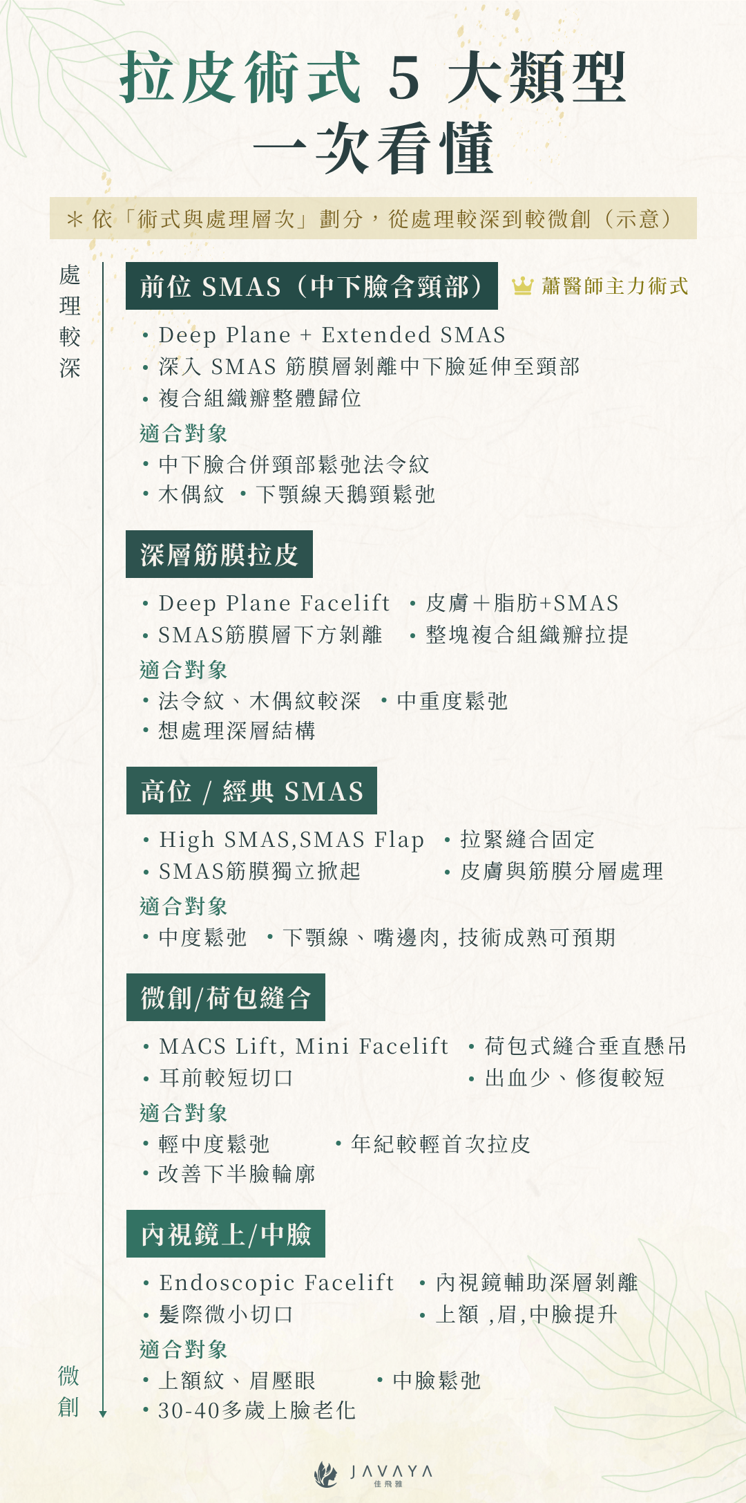 佳飛雅拉皮術式 5 大類型比較圖:依處理層次由深至微創,包含前位 SMAS(Deep Plane + Extended SMAS,蕭醫師主力術式,適合中下臉合併頸部鬆弛、法令紋、木偶紋、下顎線天鵝頸鬆弛)、深層筋膜拉皮(Deep Plane Facelift,處理皮膚+脂肪+SMAS,適合中重度鬆弛與深層結構)、高位/經典 SMAS(High SMAS Flap,SMAS 筋膜獨立掀起,適合中度鬆弛與下顎線嘴邊肉)、微創/荷包縫合(MACS Lift、Mini Facelift,耳前較短切口、出血少、修復較短,適合輕中度鬆弛與年輕首次拉皮)、內視鏡上/中臉拉皮(Endoscopic Facelift,髮際微小切口,適合上額紋、眉壓眼、中臉鬆弛與 30-40 歲上臉老化)。