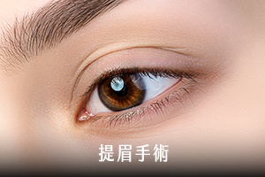 提眉手術
