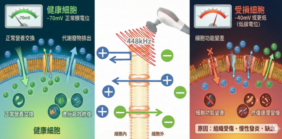 埋線原理：法令紋/嘴邊肉分區應用？線材層次與90%風險管理