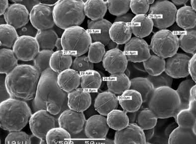 CaHA(羥基磷灰石鈣)